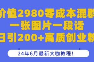 价值2980零成本混群一张图片一段话日引200+高质创业粉，24年6月最新大咖教程