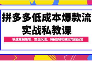 拼多多低成本爆款流实战私教课，快速复制落地，野派玩法，0基础轻松搞定电商运营