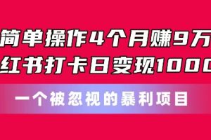 简单操作4个月赚9w，小红书打卡日变现1k，一个被忽视的暴力项目