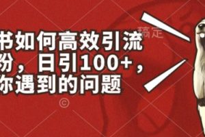 小红书如何高效引流创业粉，日引100+，解决你遇到的问题