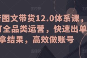 抖音图文带货12.0体系课，主打全品类运营，快速出单拿结果，高效做账号