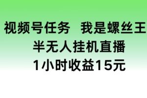 视频号任务，我是螺丝王， 半无人挂机1小时收益15元