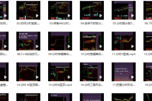 龟股堂《股票T+0实战秘籍》分时做T技巧 共32集