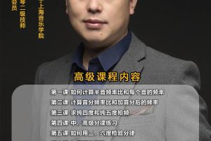 鲁宾斯坦钢琴调律高级课程_鲁宾斯坦钢琴调律