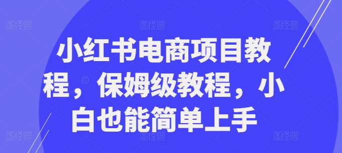 【第8447期】小红书电商项目教程，保姆级教程，小白也能简单上手