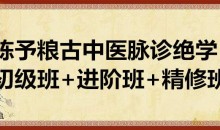 陈予粮 古中医脉诊绝学初级班+进阶班+精修班 60G