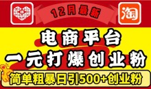 12月最新：电商平台1元打爆创业粉，简单粗暴日引500+精准创业粉