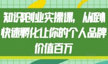 知识IP创业实操课，从0到1快速孵化让你的个人品牌价值百万