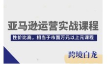 亚马逊运营实战课程，亚马逊从入门到精通，性价比高，相当于市面万元以上元课程