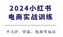 2024小红书电商3.0实战训练，包含个人IP、引流、电商等玩法