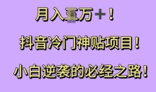 抖音冷门神贴项目，小白逆袭的必经之路