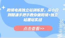 跨境电商独立站训练营，从小白到精通手把手教你做跨境+独立站建站实战