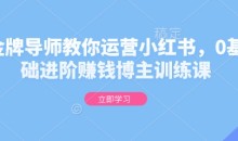 金牌导师教你运营小红书，0基础进阶赚钱博主训练课