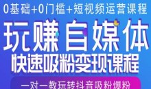 0基础+0门槛+短视频运营课程，玩赚自媒体快速吸粉变现课程，一对一教玩转抖音吸粉爆粉