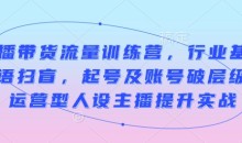 直播带货流量训练营，行业基础术语扫盲，起号及账号破层级，运营型人设主播提升实战