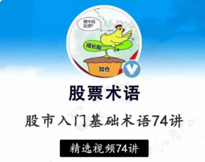 【第9072期】张一山炒股基础入门股市基础术语精讲74集