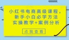 小红书电商高级课程，新手小白必学方法，实操教学+案例分析