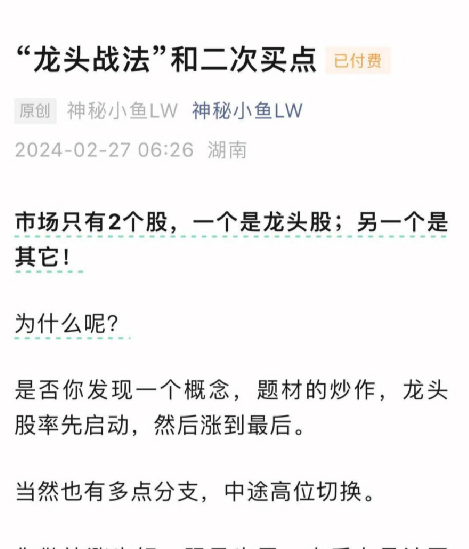 神秘小鱼LW《龙头战法和二次买点》1文档