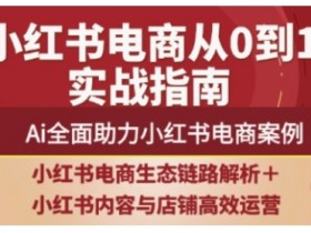 2025小红书电商全链路运营，Ai全面助力小红书电商案例