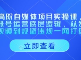 AI高阶自媒体项目实操课，讲透账号运营底层逻辑，从发布视频到规避违规一网打尽