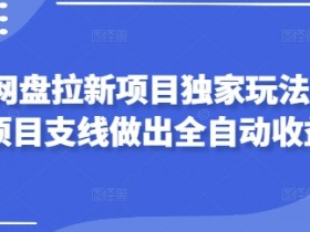 2025网盘拉新项目独家玩法，靠主项目支线做出全自动收益