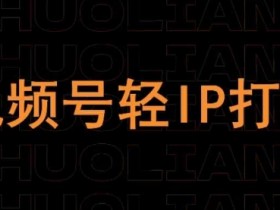 视频号线上课程，视频号轻IP打造