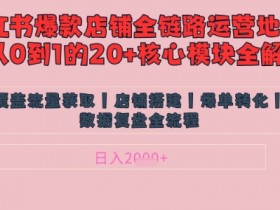别再乱投流了！小红书店铺精细化运营让爆款笔记自己涨粉的底层逻辑​，日入1k