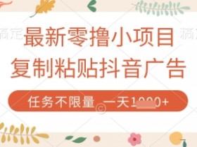 最新零撸小项目，复制粘贴抖音广告即可挣钱，平台大水，任务不限量，一天数张【揭秘】