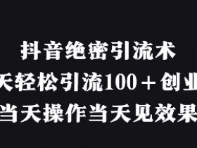 抖音绝密引流术，一天轻松引流100+创业粉，当天操作当天见效果