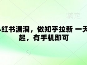 卡小红书漏洞，做知乎拉新 一天3张起，有手机即可