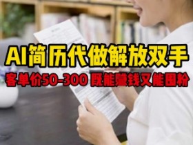 AI简历代做解放双手，客单价50-300不等，既能挣钱又能囤粉