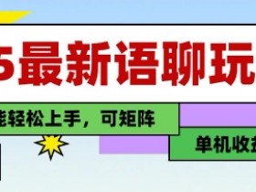25年最新语聊玩法，纯手工，单机收益100+，小白也能轻松上手，可矩阵操作