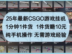 25年最新CSGO游戏挂G，1分钟1件货，1件货挣10元，纯手机操作，无需游戏经验【揭秘】