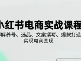 小红书从0-1实操课(2023-2025)，详解养号、选品、文案撰写、爆款打造实现电商变现