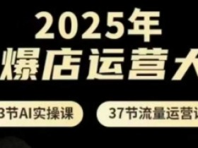 2025年AI爆店运营大课，13节AI实操课+37节流量运营课