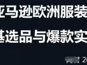 跨境电商选品案例24-25年，聚焦跨境电商选品策略与运营优化，助力卖家挖掘蓝海市场