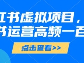 小红书虚拟项目，小红书运营高频一百问【文档】