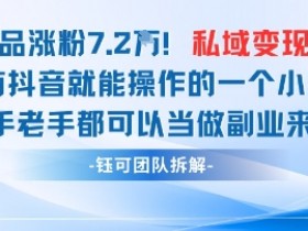 抖音私域项目23条作品涨粉7.2W，私域变现1W