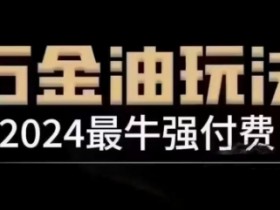 2024最牛强付费，万金油强付费玩法，干货满满，全程实操起飞（更新25年04月）