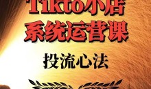 TikTok小店系统运营课：Allen-TK投流技法全攻略，包括广告命名 扩量手法及市场运营方法