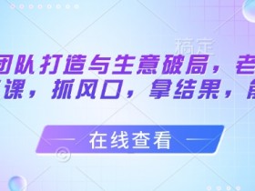 流量团队打造与生意破局，老板流量必修课，抓风口，拿结果，能落地