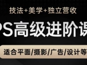 PS高级后期进阶课（技法+美学+独立营收），适合平面摄影广告设计等