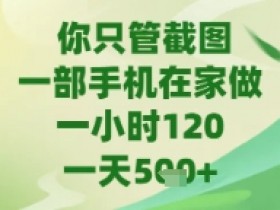 你只管截图，一部手机在家做，苹果安卓都可以，一天5张+【揭秘】