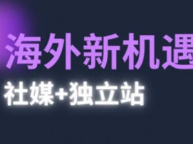 2025出海新机遇(社媒+独立站)，海外新机遇，实现独立站的高效运营与出海