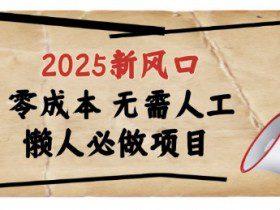 2025新风口，懒人必做项目，浏览器全自动掘金【揭秘】