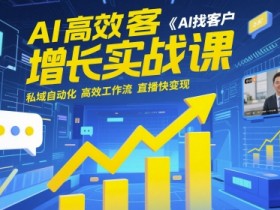 AI高效获客增长实战课，​AI找客户 私域自动化 高效工作流 直播快变现