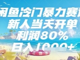 闲鱼冷门暴力赛道，新人当天开单，利润80%，日入几张，长期可做【揭秘】