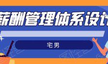 宅男·薪酬管理体系设计：绝对能落地，能实行，有效果（8节小课+资料汇总）