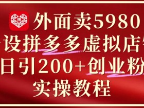 外面卖5980开设拼多多虚拟店铺：单日引流200+创业付费粉实战教程