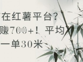 抄书在小红薯平台？平均一单30米，一天收益几张！